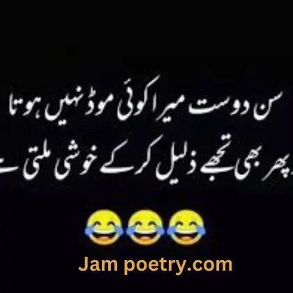 urdu funny poetry