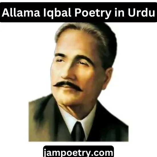 Allama Iqbal Petry in Urdu