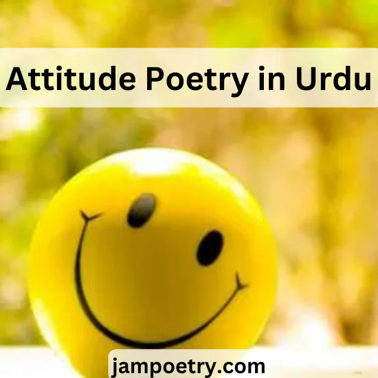 Attitude poetry in Urdu