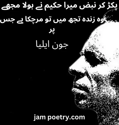 john elia poetry in urdu copy paste