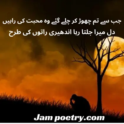  Sad Poetry in Urdu