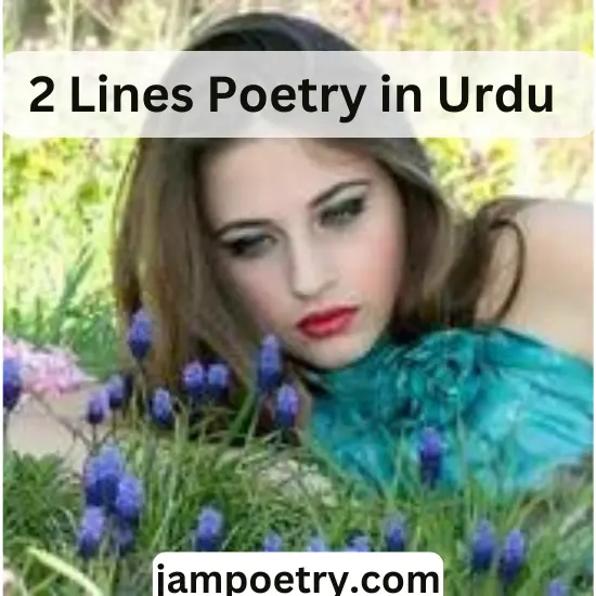 2 Lines Poetry in Urdu