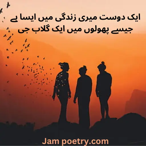 dosti poetry poetry in urdu