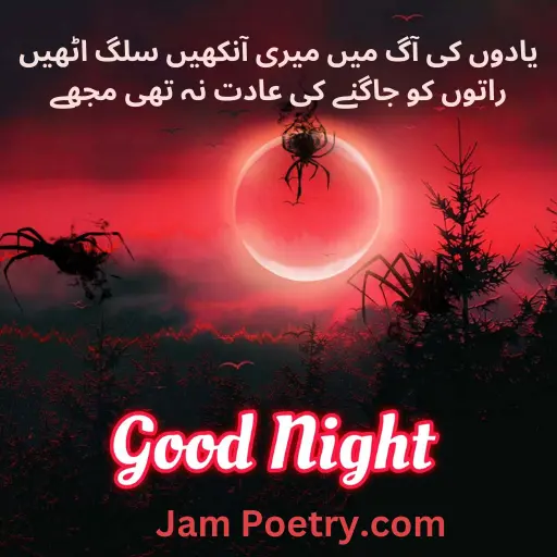sad good night poetry in Urdu