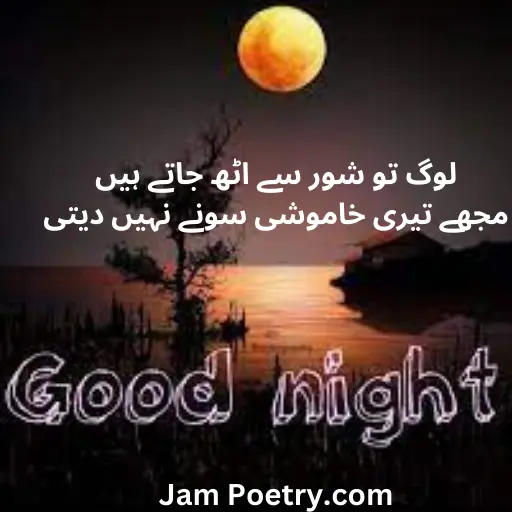 Good Night Poetry in Urdu 2 lines