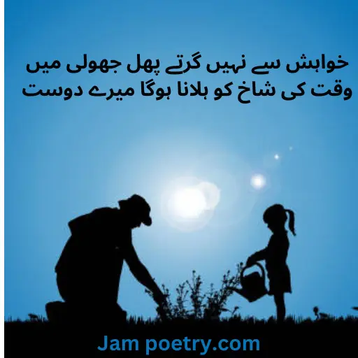 success kamyabi poetry