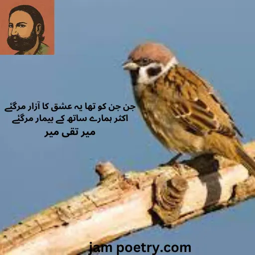 love Meer taqi meer poetry in Urdu