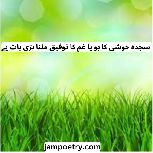 one line poetry in urdu text